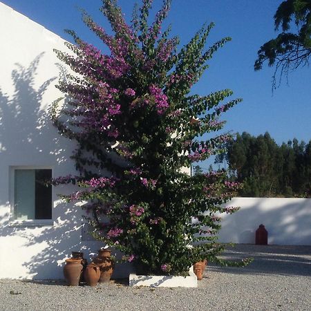 Monte Das Texugueiras - Adults Only Exterior foto