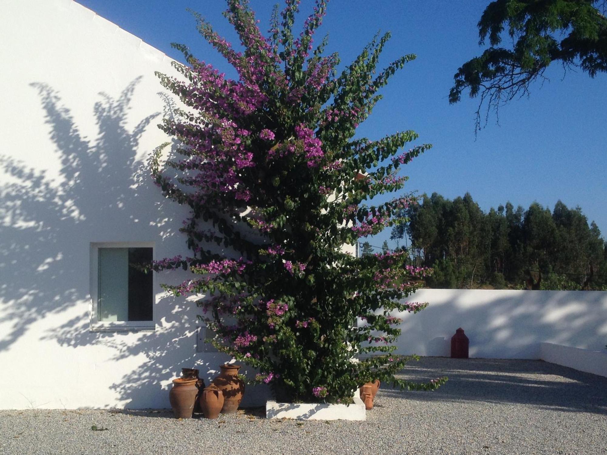Monte Das Texugueiras - Adults Only Exterior foto